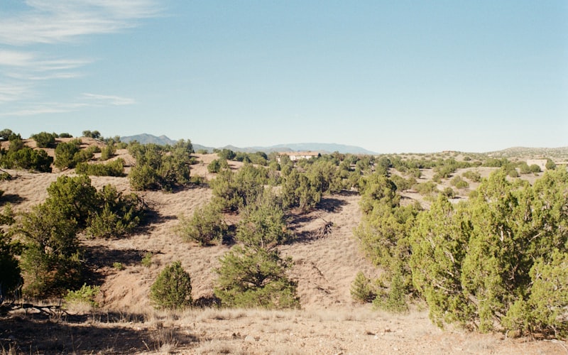 Georgia O'Keeffe Country: Art Pilgrimage to New Mexico